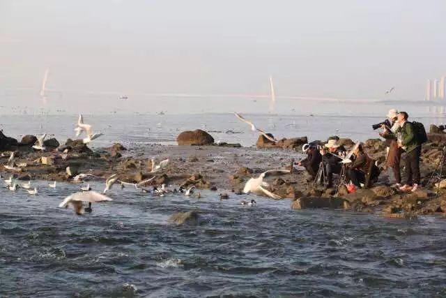 一个人快不是真的快, 大家快才是真的快!