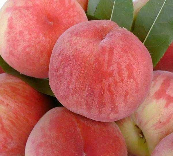 油桃的热量,一个白油桃多重?图3