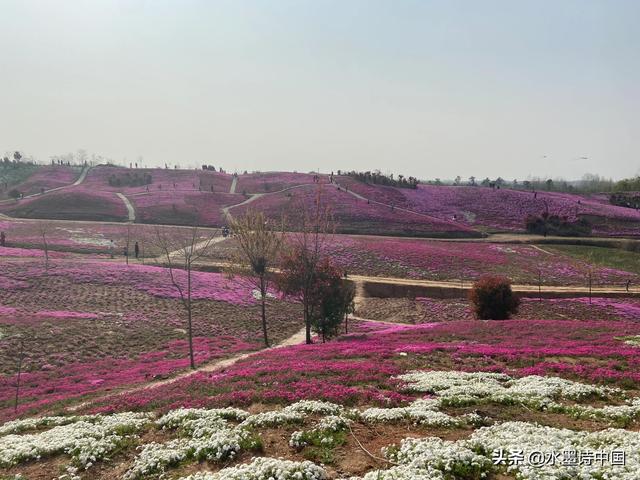 关于清明节的习俗传说简介(关于清明节来源的几个传说)(2)