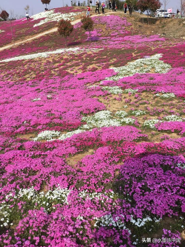 关于清明节的习俗传说简介(关于清明节来源的几个传说)(5)