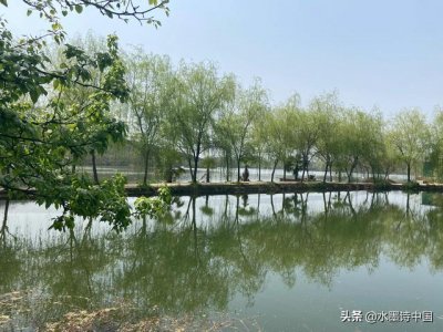 ​关于清明节的习俗传说简介（关于清明节来源的几个传说）