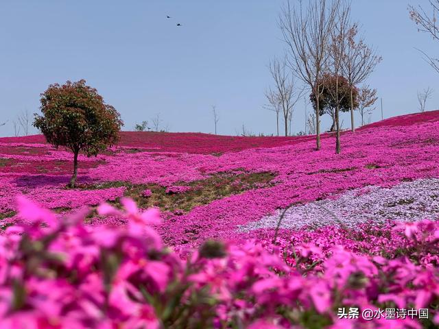 关于清明节的习俗传说简介(关于清明节来源的几个传说)(6)