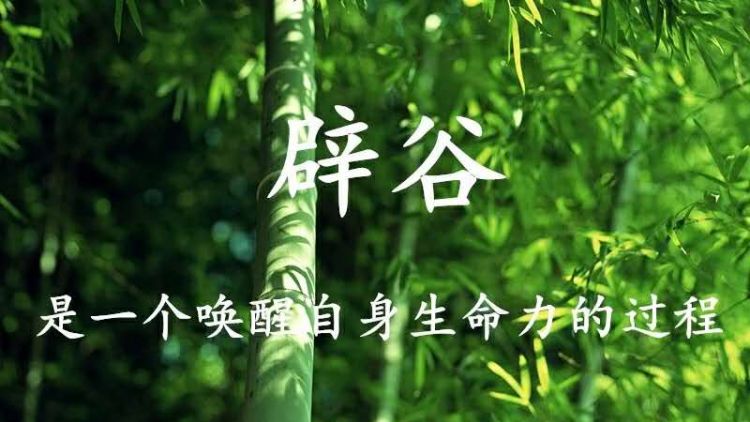 什么叫全辟谷什么叫半辟谷