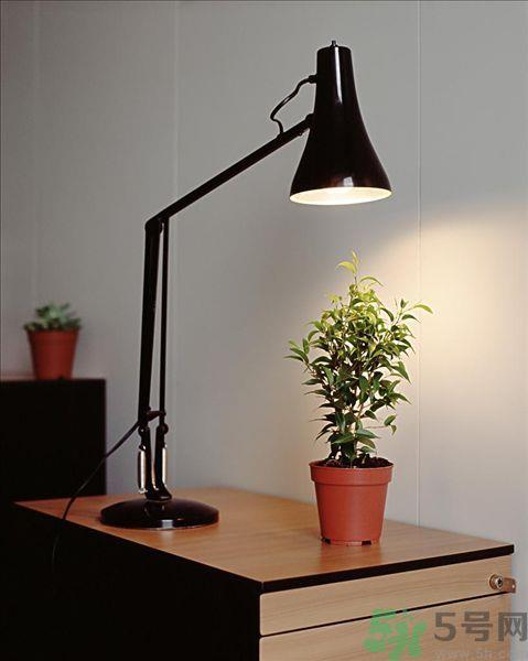 眼镜疲劳喝什么茶好?喝什么可以抗眼睛疲劳? 眼镜疲劳喝什么茶好?喝什么可以抗眼睛疲劳?