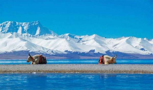 纳木错在西藏哪个城市,纳木错在哪图5