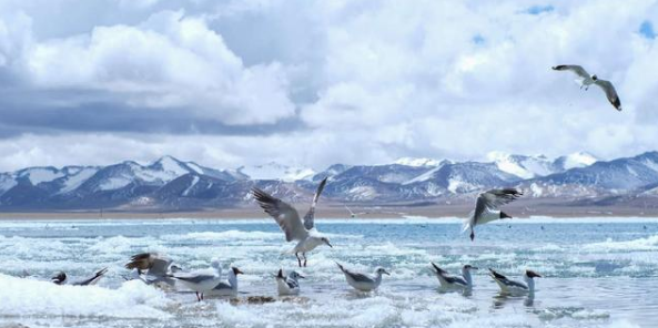 纳木错在西藏哪个城市,纳木错在哪图2