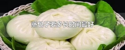 ​蒸包子要多长时间最好