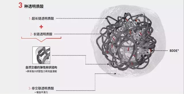 菲洛嘉是什么（我们为什么信仰菲洛嘉）(6)