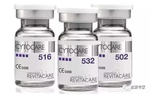 菲洛嘉是什么（我们为什么信仰菲洛嘉）(16)