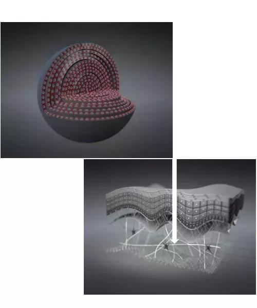 菲洛嘉是什么（我们为什么信仰菲洛嘉）(4)