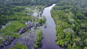 百科讲解亚马逊河（为何当地人都不敢在亚马逊河中游泳）(7)
