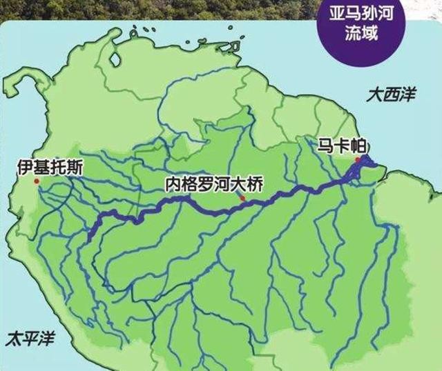 百科讲解亚马逊河（为何当地人都不敢在亚马逊河中游泳）(4)