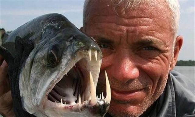 百科讲解亚马逊河（为何当地人都不敢在亚马逊河中游泳）(13)