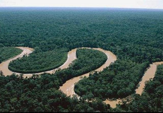 百科讲解亚马逊河（为何当地人都不敢在亚马逊河中游泳）(5)