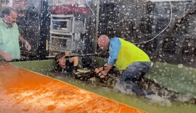 百科讲解亚马逊河（为何当地人都不敢在亚马逊河中游泳）(19)