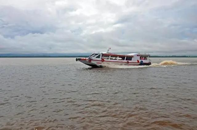 百科讲解亚马逊河（为何当地人都不敢在亚马逊河中游泳）(8)