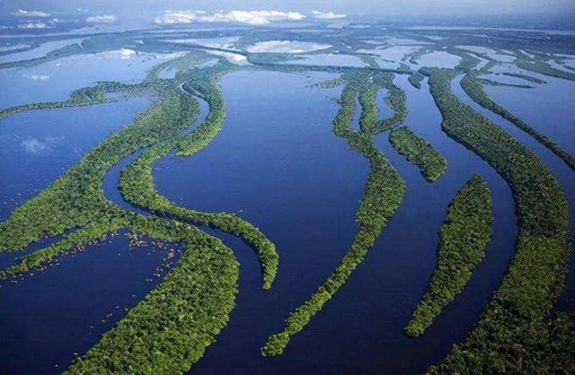 百科讲解亚马逊河（为何当地人都不敢在亚马逊河中游泳）(3)