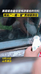 ​成年人的幽默搞笑段子（36个笑出泪的搞笑段子）