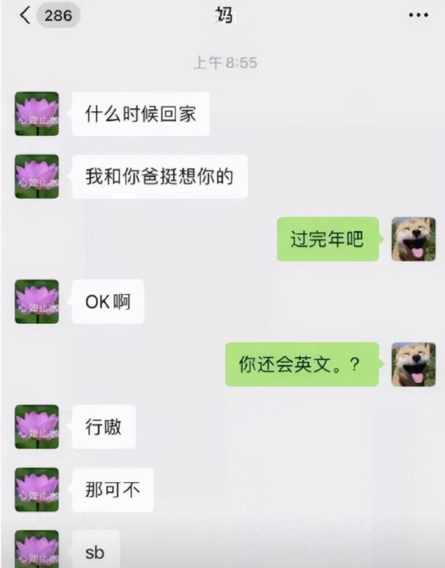 成年人的幽默搞笑段子（36个笑出泪的搞笑段子）(2)