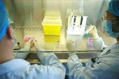 日本恐怖游轮“钻石公主号”,惨成人间炼狱?