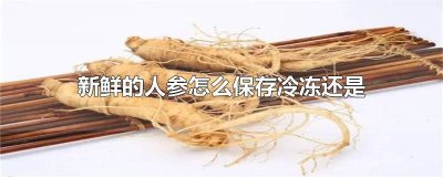 ​鲜人参可以放冰箱冷藏吗多久 鲜人参可以放冰箱冷藏吗多少度
