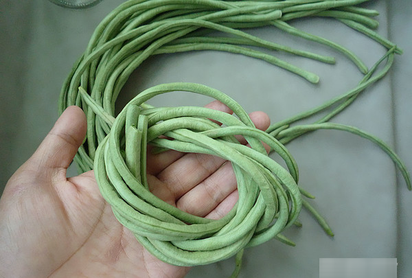 豆角怎么腌制好吃又脆不坏,腌酸豆角怎么腌制好吃又脆图8