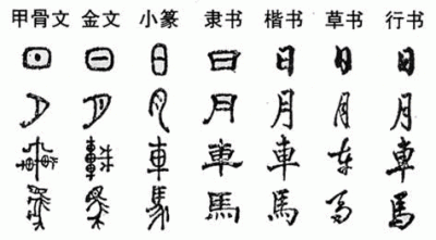 ​毋容置疑是什么（毋容置疑是什么生肖）