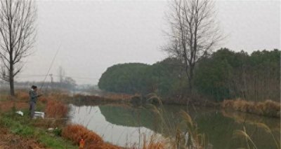 ​初冬浅水也有大收获！掌握这4个技巧，轻松钓到大鲫！