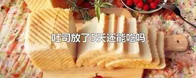​吐司只能放3天吗为什么不能放 吐司只能放3天吗为什么还能吃