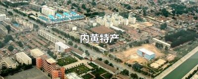 ​内黄特产