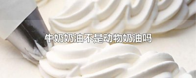 ​牛奶奶油不是动物奶油吗