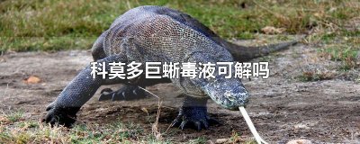 ​科莫多巨蜥毒液可解吗