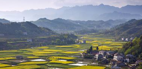 依稀的意思和造句,依稀是什么意思图1