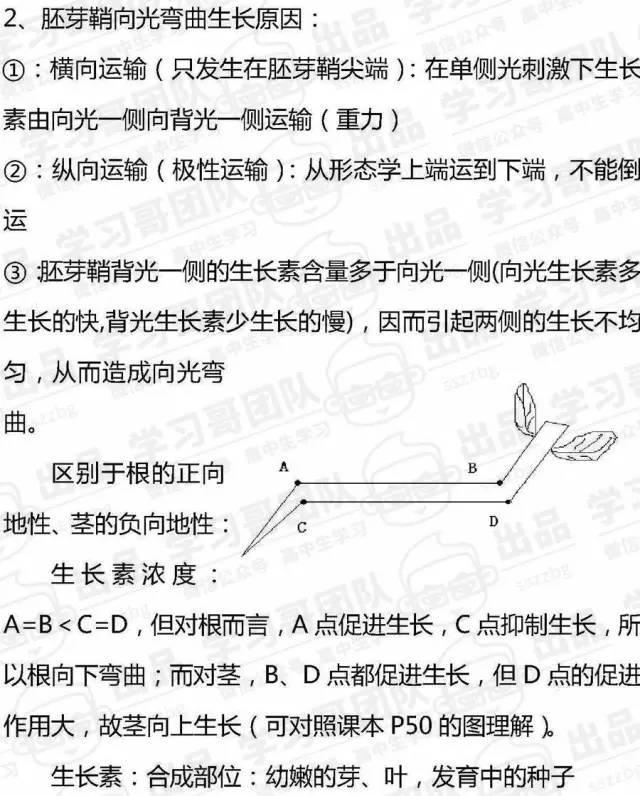 预习必备！高中生物必修三知识点全汇总