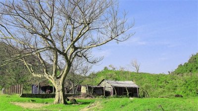 ​唐代诗人王绩《秋夜喜遇王处士》赏析