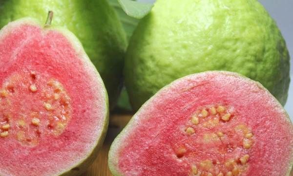 番石榴红心和白心的区别,番石榴怎么吃图6
