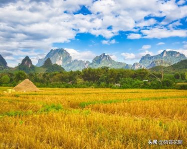 ​什么是新农村建设？