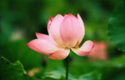 ​男人为何选择沉默？揭秘他不联系你的三大原因