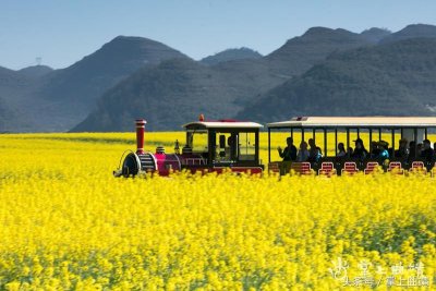​罗平2018国际油菜花文化旅游节 活动够你嗨