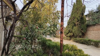 ​一个乡村医生的风流债