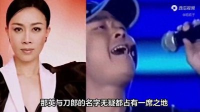 ​那英与刀郎之间的恩怨：音乐审美与社会进步的碰撞