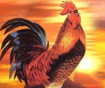 ​西游记中最强仙二代——盘点卯日星官的前世今生