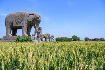 ​你认为河南人怎么样？