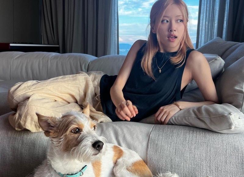 射手座思维方式:理性、开放、创新与掌控命运 射手座思维方式:理性、开放、创新与掌控命运