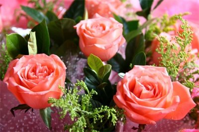 ​送花有寓意和祝福，送花的含义，生活中怎么样去送花？