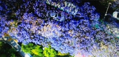 ​山东大学王牌专业及就业趋势