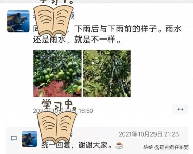 ​朋友圈写“统一回复”的人有以下三点原因