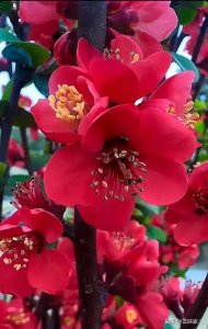 ​商圣范蠡的18个经商法门，古今通用，想学的人要收藏