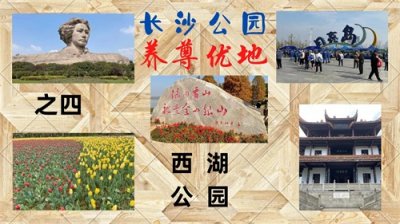 ​长沙公园 养尊优地 之四 西湖公园