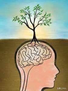 ​情绪管理的力量：平衡内心的艺术